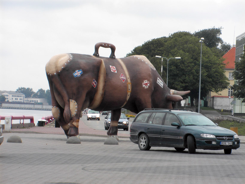 cow with a car