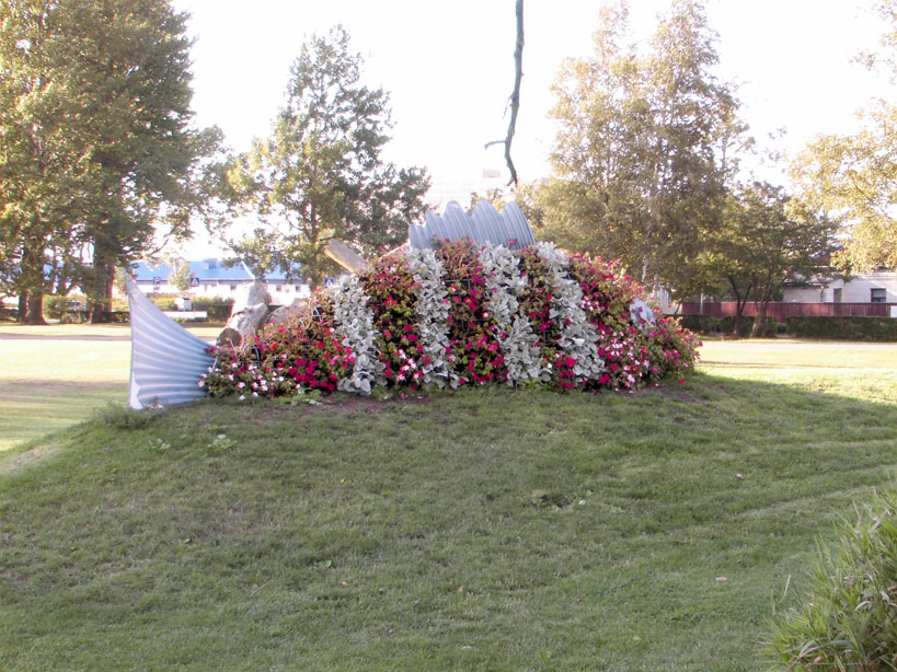 fish made out of flowers